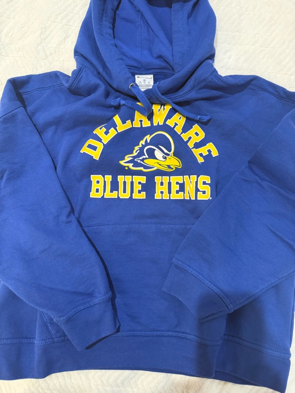 University of Delaware Blue Hens Champion Hoodie Sweatshirt size xl